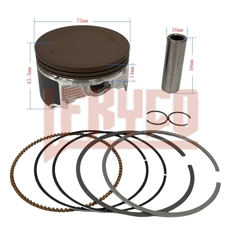 

Motorcycle Engine 75mm Piston and Ring Kit 300CC Big Bore for Italika Vortx 250 Blackbird 250 CPS300 RATO RT250 RBT250 RW172FMM