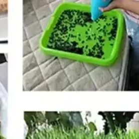 Microgreens Sprouter Tray Hydroponic / Sprouting Tray For Sprout Horticultural Hydroponic Systems Tray Garden Nursery Potted
