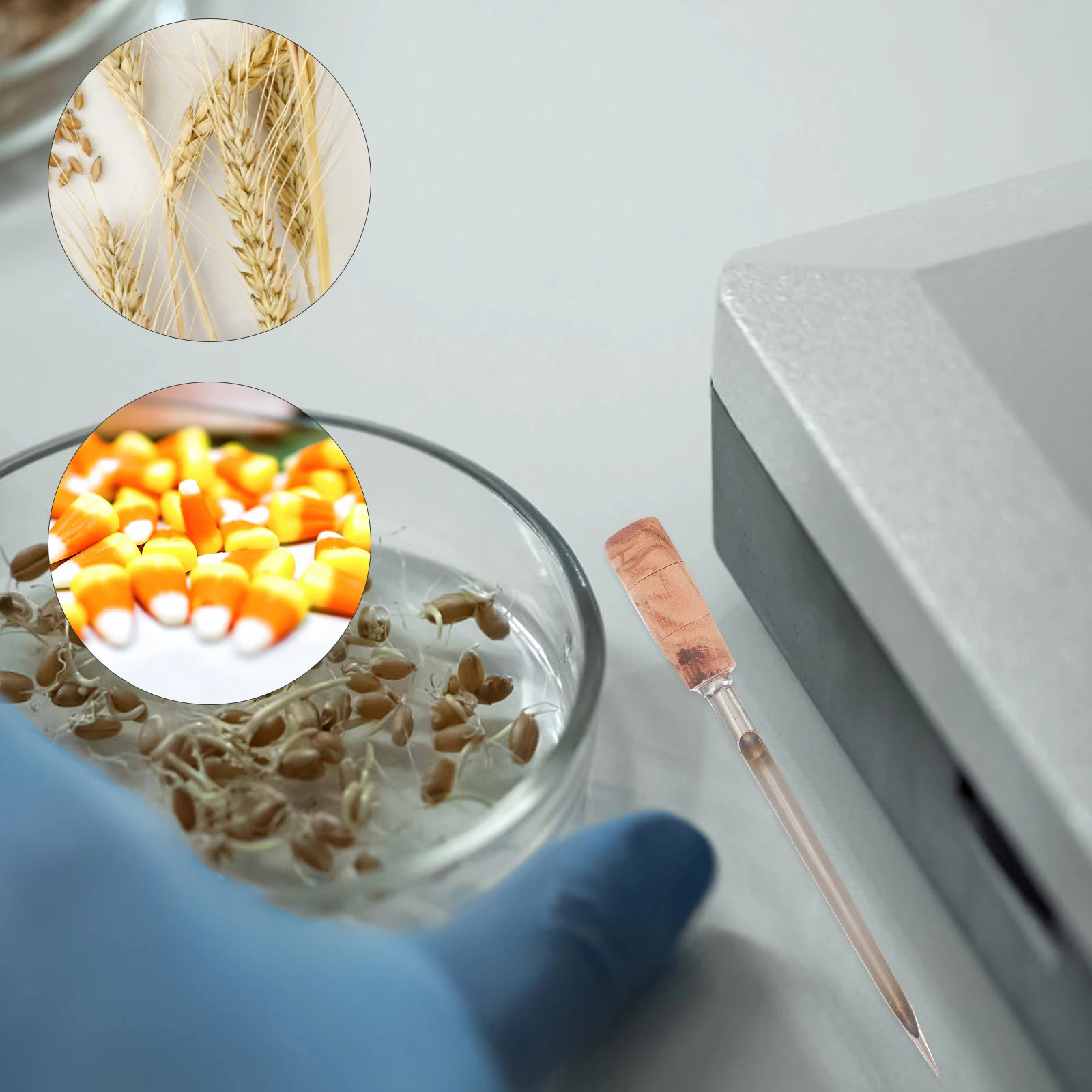 : Monitoramento do Solo e Plantas