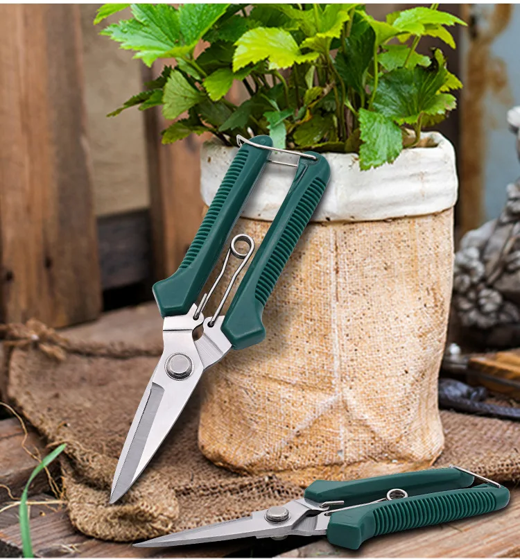 مقصات تشذيب الرأس المستقيمة مقبض مانع للانزلاق من الفولاذ المقاوم للصدأ أدوات يدوية مقص حديقة بونساي مقص Pruing القص