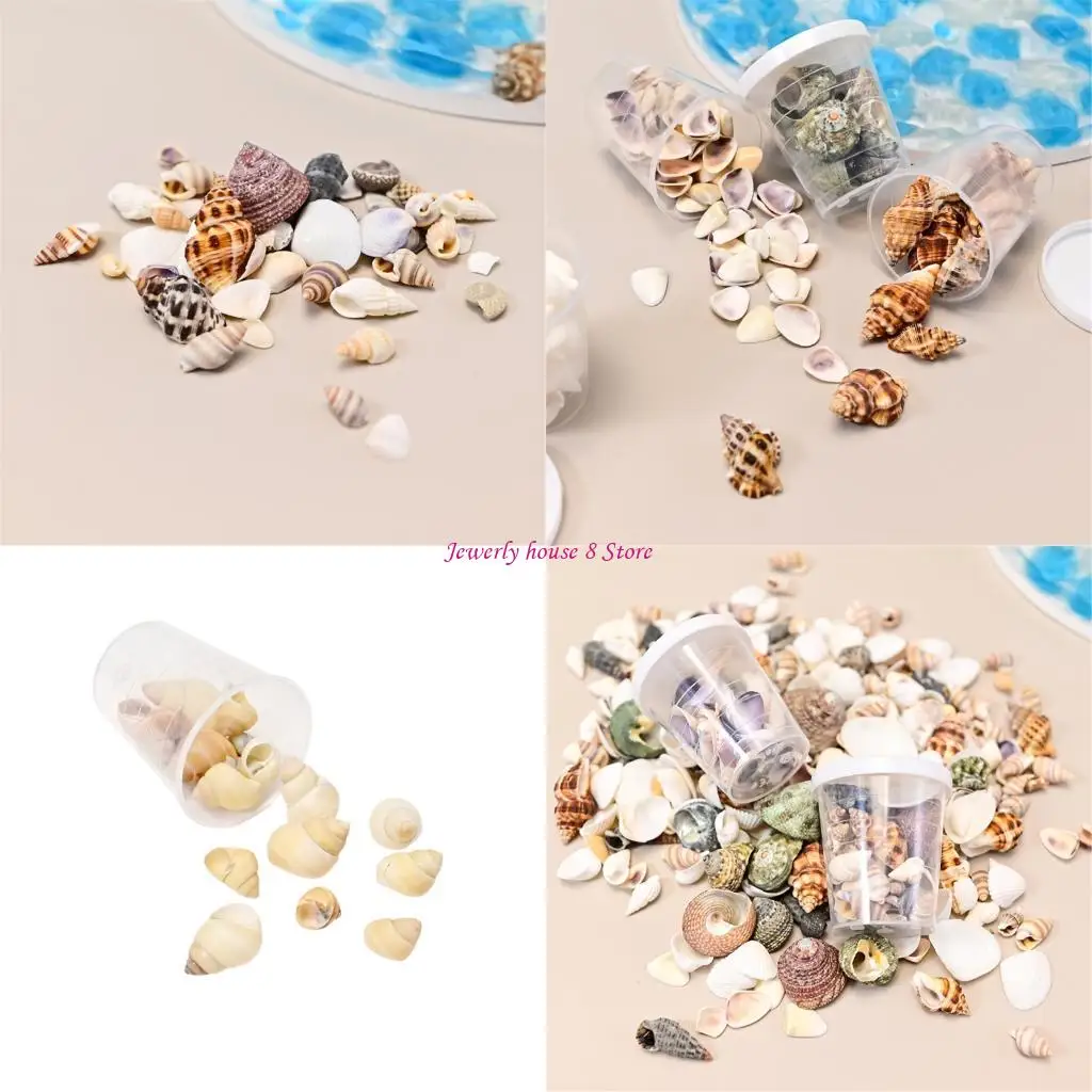 Натуральные-раковины-раковины-художественные-принадлежности-для-раковины