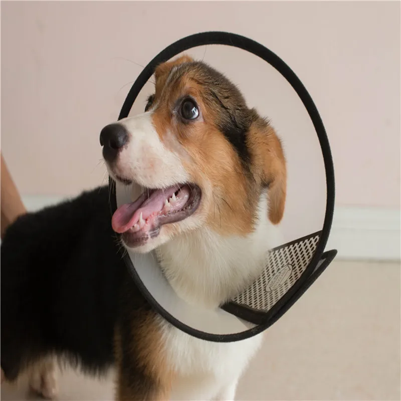 Pet Protective Collar Dog Neck Cone Recovery Cone Collar for Anti-Bite Lick Surgery Or Wound Healing Cat Dogs Medical Circle