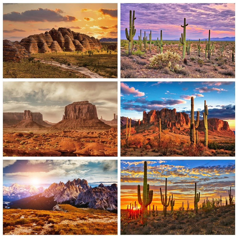 Cactus Desert Scene Backdrops for Photography Dusk Desert Mountain Shrub Hillside Blue Sky Cloudy Natural View Photo Background