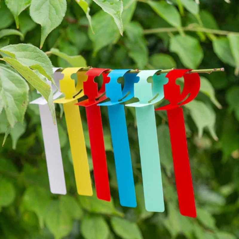 Flower Plant Suspension Ring Tag PVC Plastic Tree Branch Writeable Marking Plate Potted Bonsai Classification Recognition Label