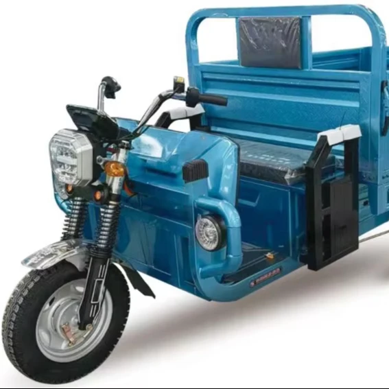 New 1000W 3-Wheel Electric Cargo Tricycle 60V Voltage 400kg Payload Capacity Closed Steel Body for Adults