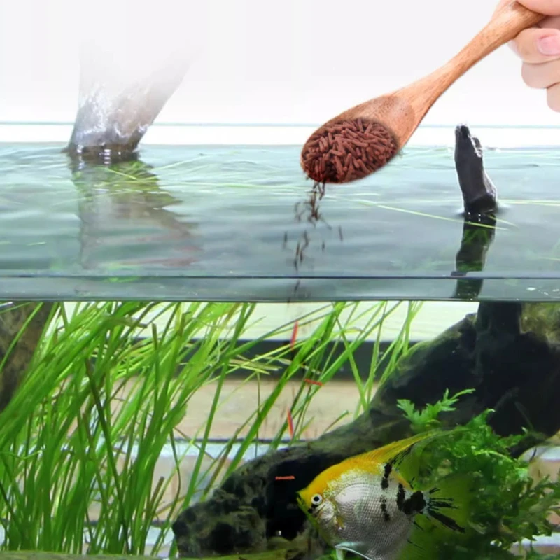 LONGNIAN Altum Angelfish & Discus تركيبة دودة الدم الاصطناعية للأغذية المعلبة البرية | غرق الكريات مع Amazon Bioactive