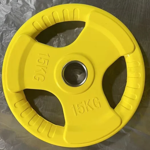 

Colored Rubber Coated Cast Iron Dumbbell Plates Commercial Use Large Hole Unisex for Aerobics Push-up Home Hip Bridgepromote sal