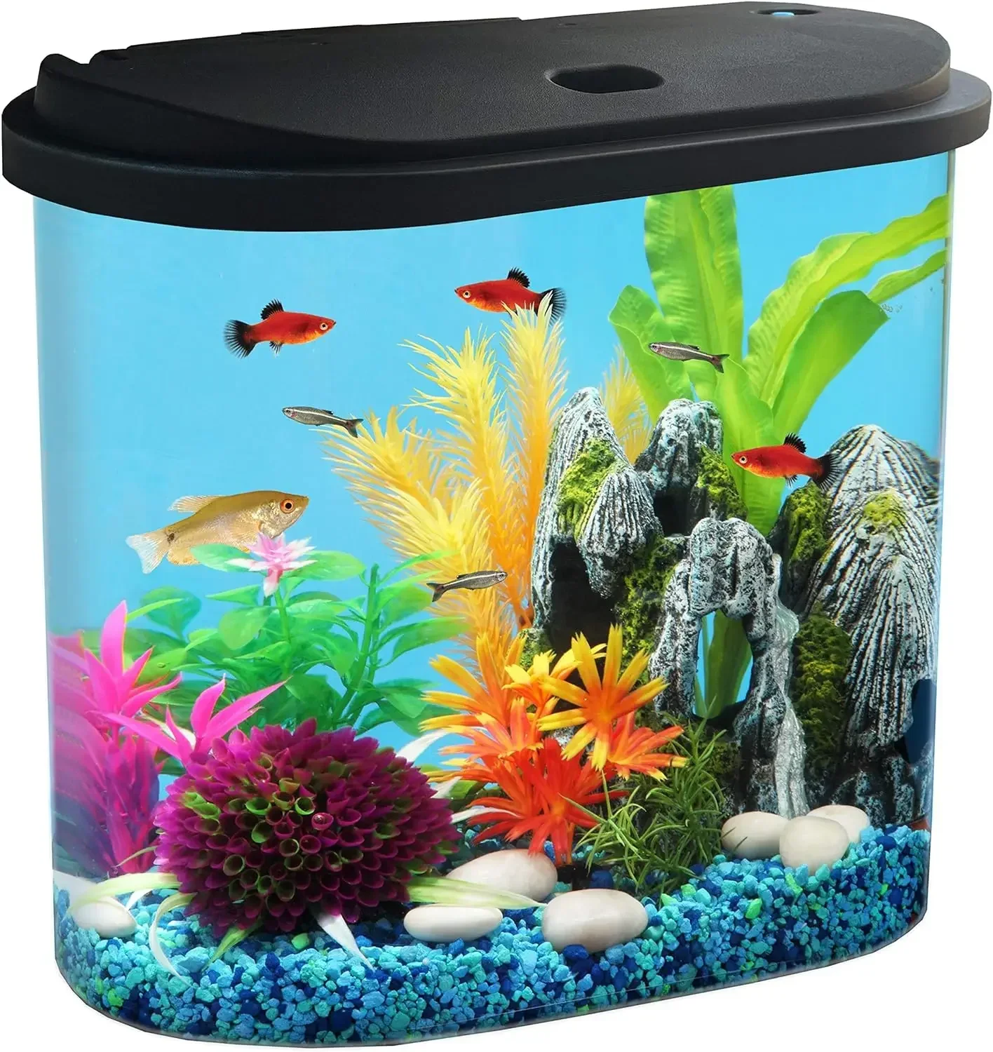 

AquaView 4.5-Gallon Aquarium Starter Kit with Full Filtration and LED Lighting - 7 Dazzling Colors to Select