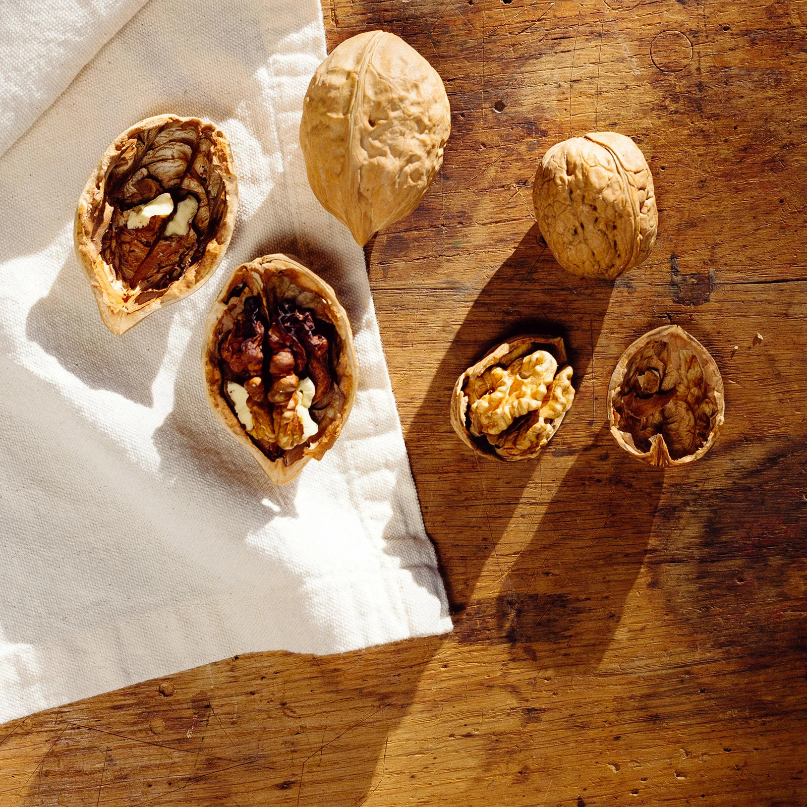 

Pine Nut Clipper Stainless Steel Wear-resistant Walnut Cracker Portable Kitchen Gadget Nut Opening Tool Household Fruit