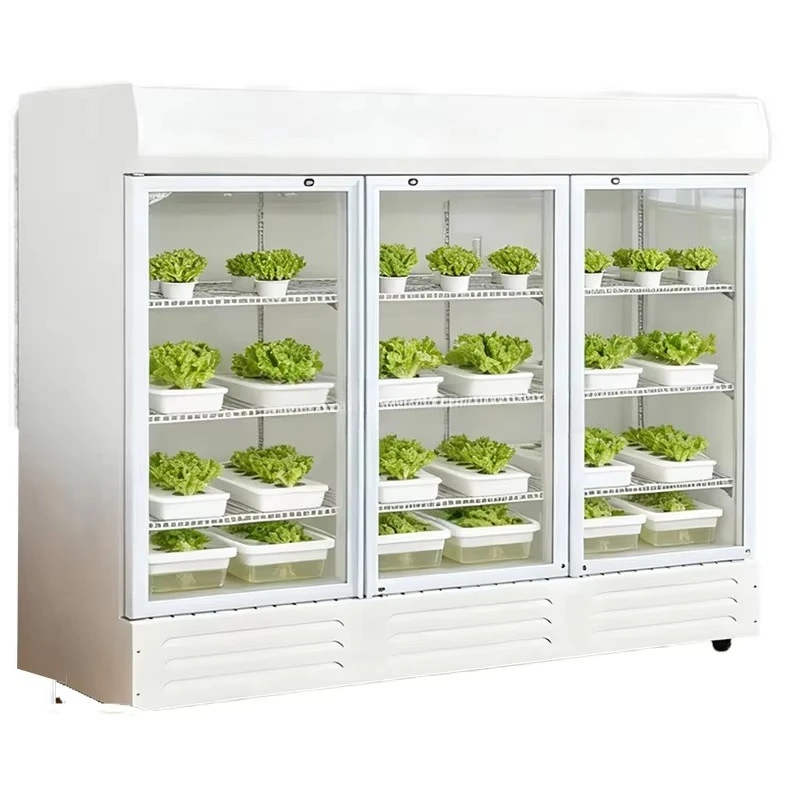 Automated Multi Layer Vertical Growing System ABS Cover Vegetable Growing Home Hydroponic Planting Smart Hydroponics Cabinet