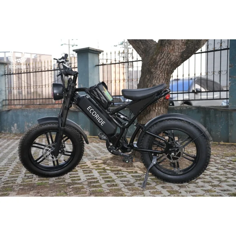 

High Quality E Bikes Ecoride V10 Electric Bicycle 1000w Electric Fat Bike Cheap 20inch Electric Bike Adult K7