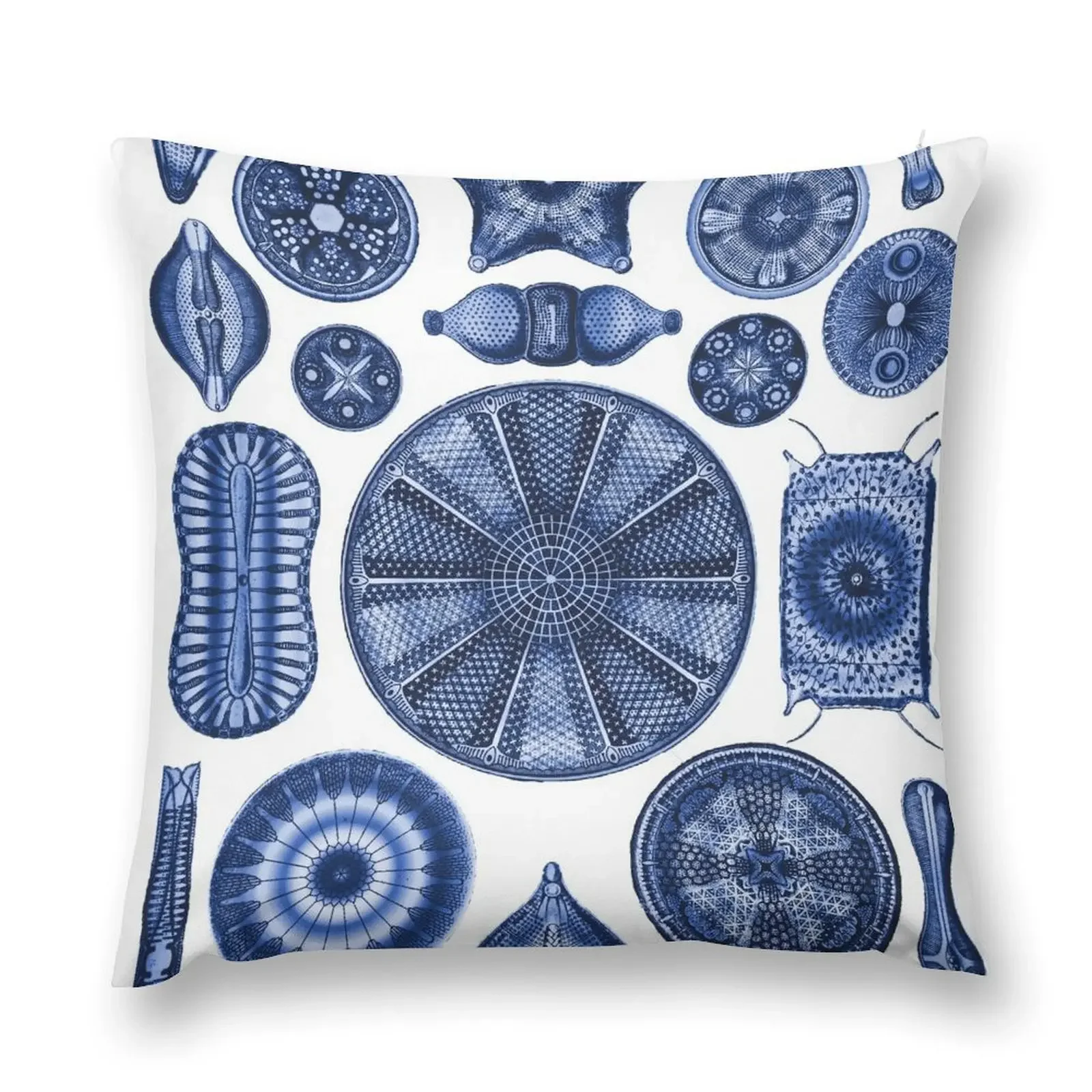 

Ernst Haeckel Diatoms Indigo Blue Throw Pillow Throw Pillow Sofa Cushions Cover pillow