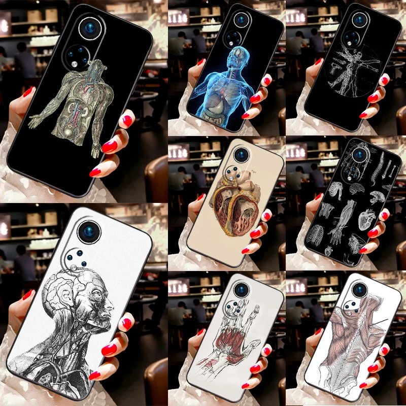 

Human Anatomy Case For Honor Magic 7 Pro 5 6 Lite Honor 200 Pro 50 70 90 X9b X9a X8a X8 X9 X8b X9c Cover