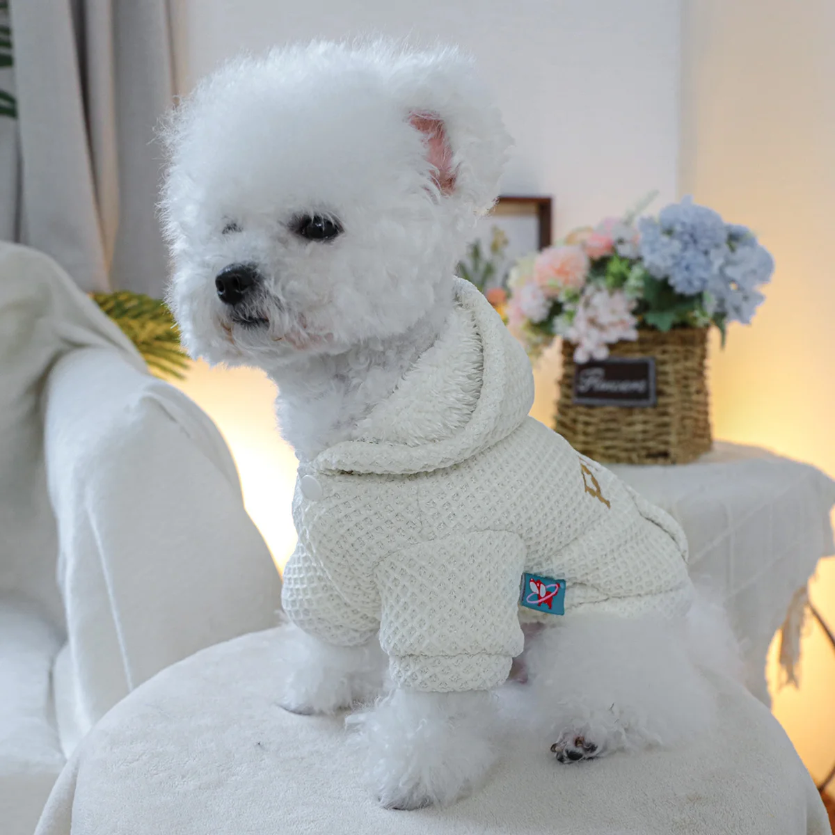 1PC Pet Clothing Plan A Hoodie for Autumn and Winter Thickened Warm Rice White Coat Suitable for Small and Medium sized Dogs