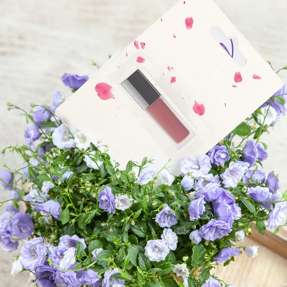 50 قطعة من حامل المال على شكل قبة من البلاستيك الشفاف لبطاقات التخرج التي يمكنك صنعها بنفسك هدية نقدية لحفلات الزفاف وأحمر الشفاه وقباب بلاستيكية للتخزين #5