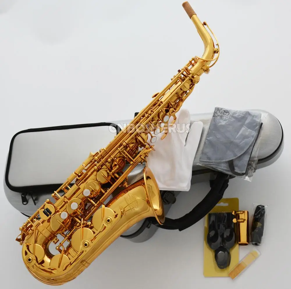 

customized Brass Lacquered Alto Saxophone Contoured engineering Flight Case