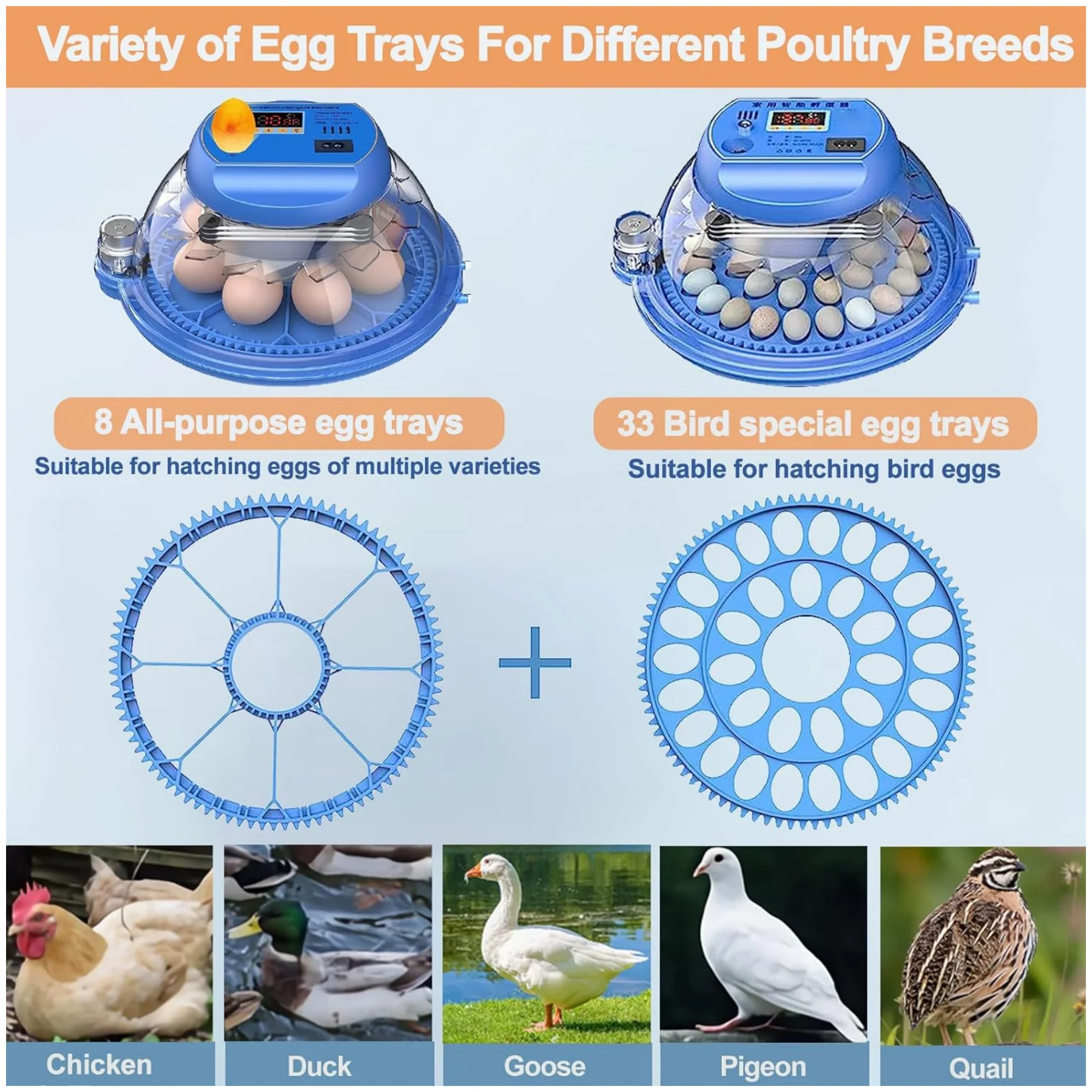 Imagem -02 - Incubadora de Torneamento Automático com Água Controle de Temperatura para Aves Galinhas Codornas 33 Ovos