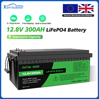 DATOUBOSS 12V 300Ah LiFePO4 Battery Integrated 200A BMS 8000+ Cycles Lithium Battery Max 3840W Power Perfect for Solar