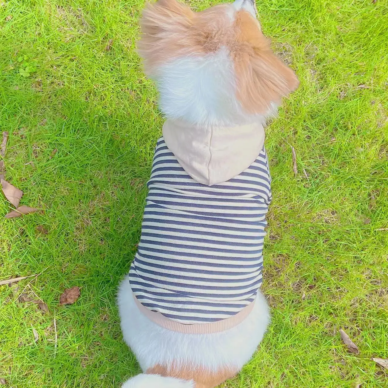 Dog Cat Striped Clothes Spring and Summer Thin Section Small Dog Puppy Hooded Sweater Pet Teddy Dog Clothes for Small Dogs