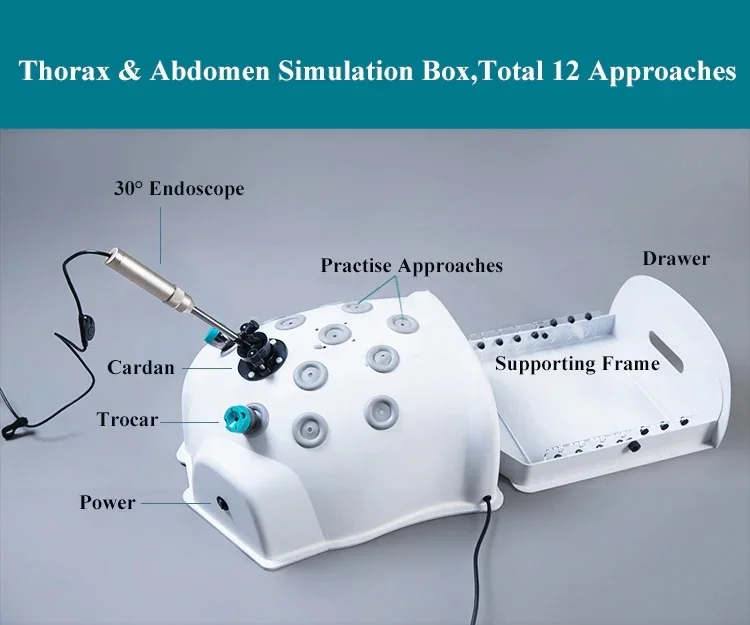 Laparoscopic Trainer Simulator Box With Endoscope