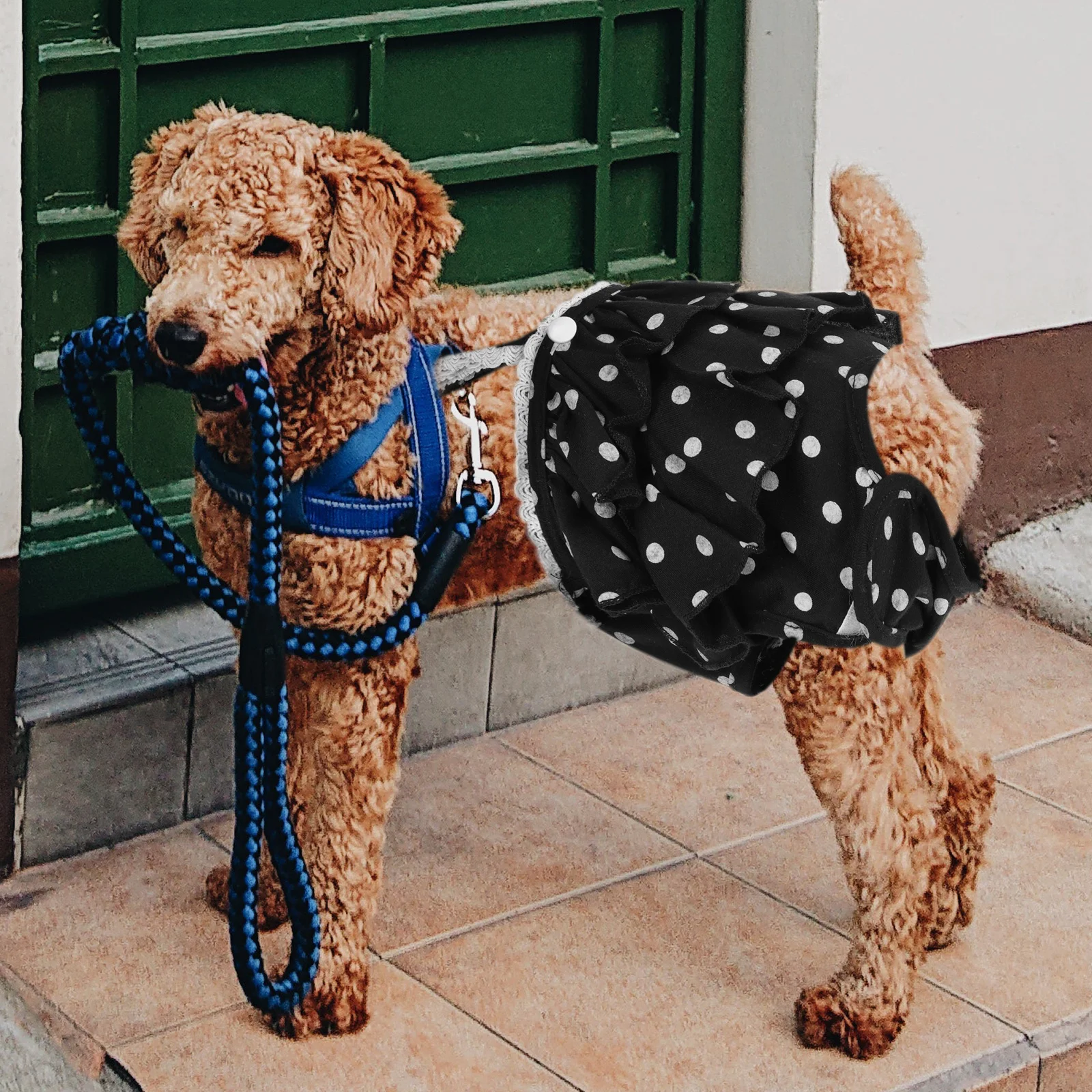 

1pc Dog Diaper Panties For Female Dogs In Heat Cotton Pet Sanitary Pants Puppy Diapers Reusable Washable Pet Accessories For