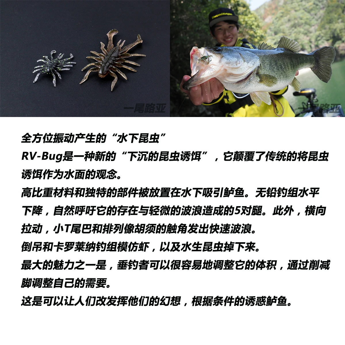 Japan JACKALL RV-BUG Road Subhigh Density Insect Soft Bait Polypod Fine Leadless Black Pit Perch