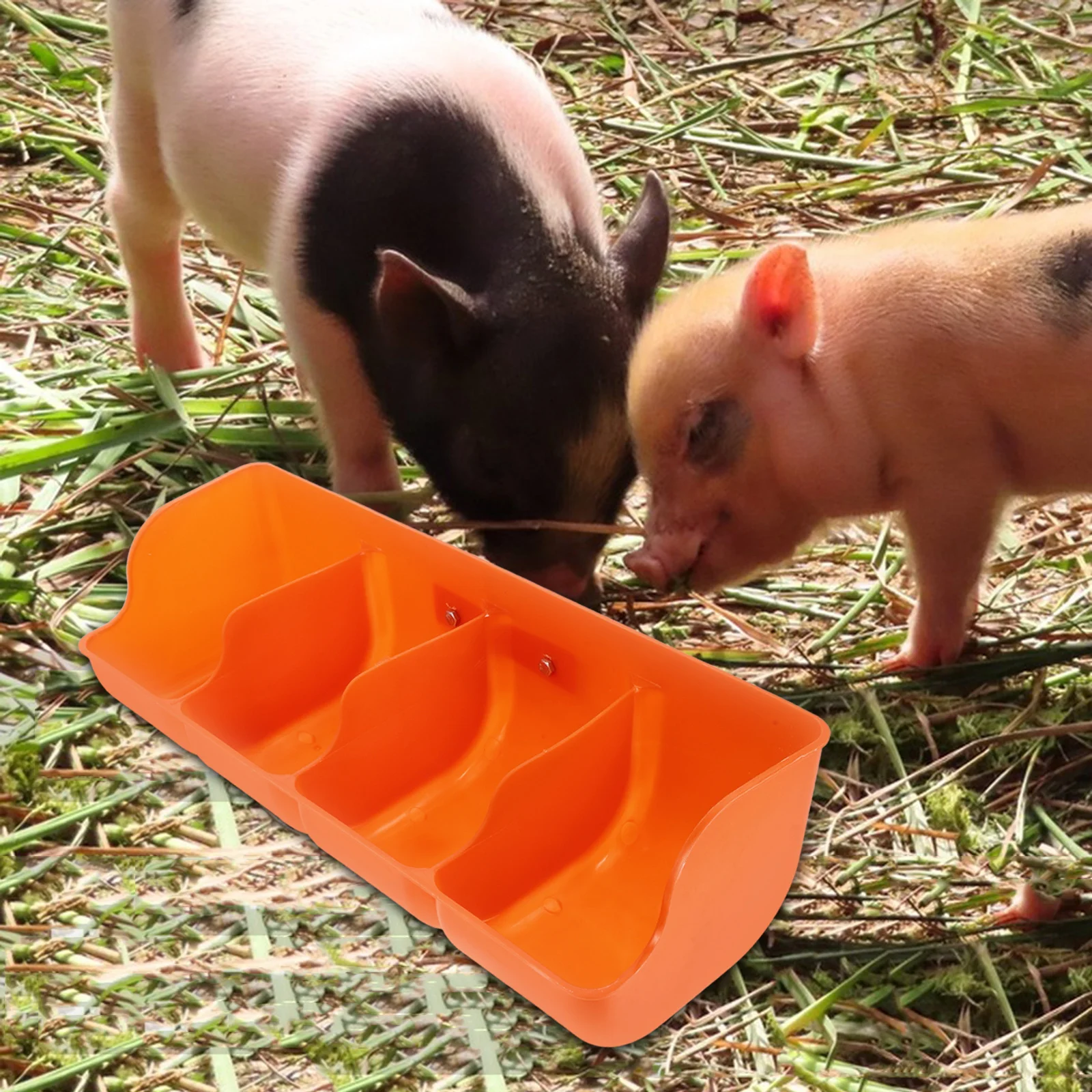 

Heavy Duty Multi-Slots Pig Feeder for Farmhouse Livestock Feeding Trough with Large Capacity and Wear Resistant Design
