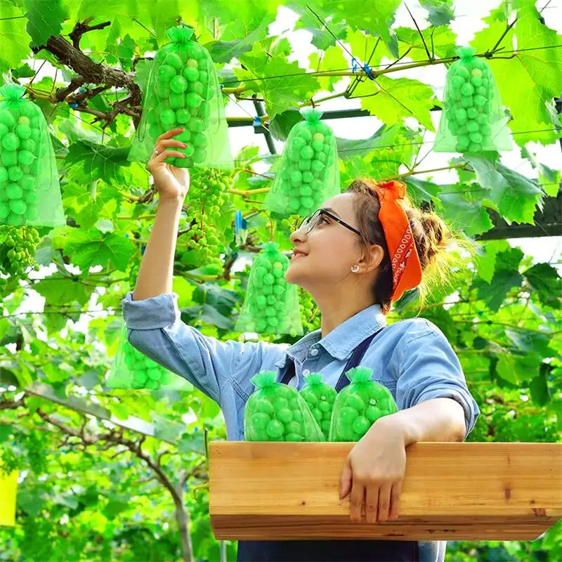 20/50/100 piezas Bolsa de protección contra uvas, bolsa de malla para cultivo, productos de Control de plagas de fruta, gasa transpirable, bolsas de