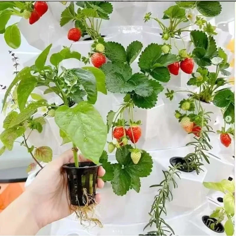 Indoor PVC Vertical Hydroponic Growing Tower System Aeroponic Plant Vegetable Grow Kit with Water Pump