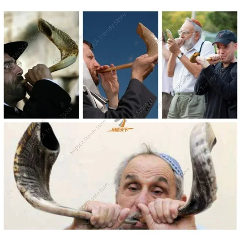 POLISHED SHOFAR Israel Genuine Natural Rams Horn Smooth Mouthpiece for Easy Blowing