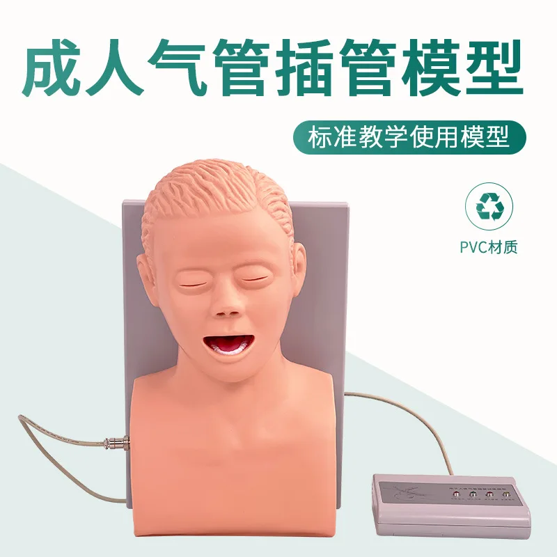 Adult endotracheal intubation training model, electronic human body, training model, tooth pressure alarm