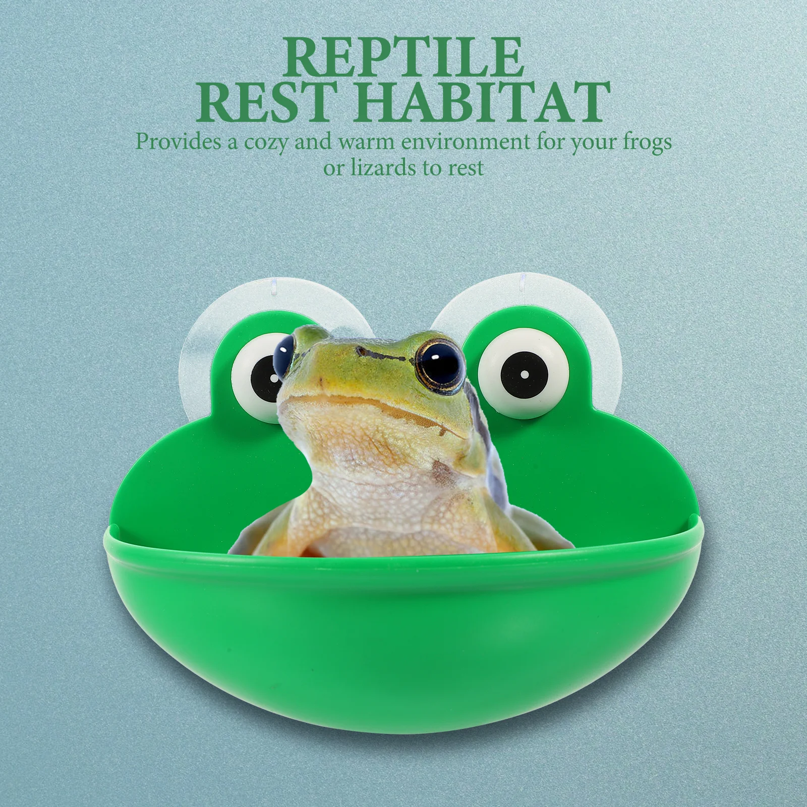

2pcs Reptile Rest Habitat Terrarium Platform Suction Cup Stand For Gecko Lizard Frog Pet Bowl Natural Design Durable Safe