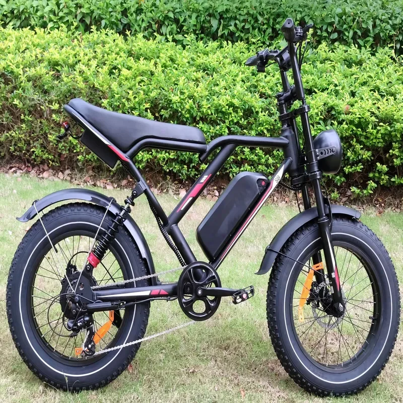 S8 Dual Motor Electric Bike 2000W 48V 25Ah Lithium Battery Adult Urban E Bicycle Hydraulic Disc Brake EU US Stock Fast
