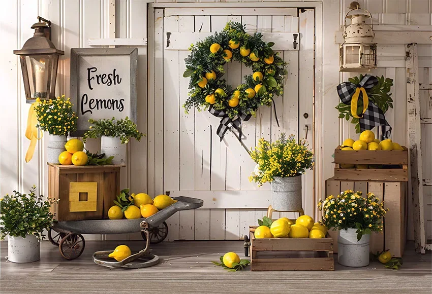 Mehofond Photography Background Summer Lemon Fruit Barn Door Kids Birthday Party Cake Smash Portrait Decor Backdrop Photo Studio