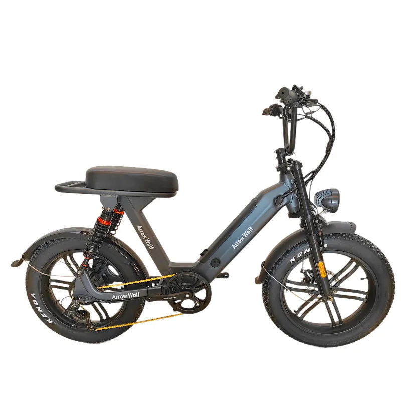 

STLF 20 inch mountain electric bicycle snow electric bicycle high power bicycle double drive