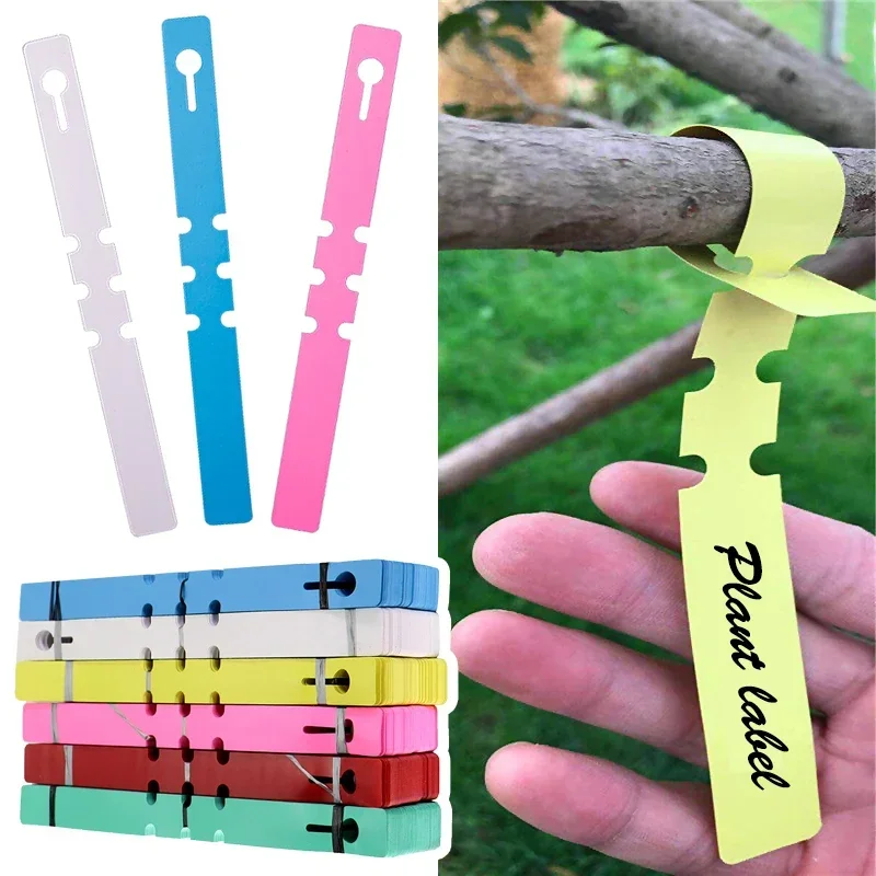 

50-100pcs Waterproof Plant Markers Plastic Plant Hanging Tags Gardening Plant Marker Label Tools Garden Pots & Planters Supply