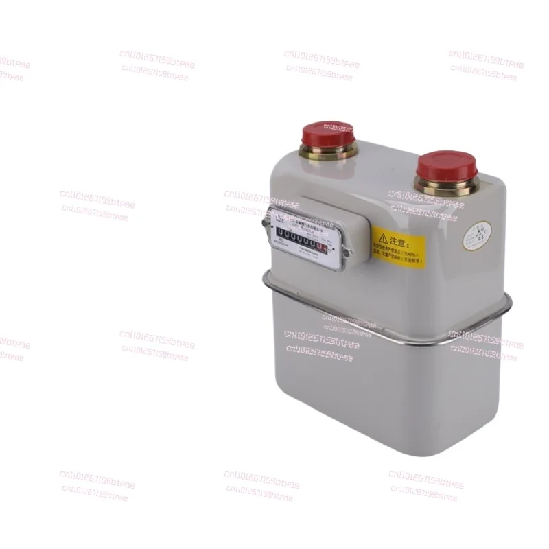 

RX04G2.5 Domestic G4 Membrane Gas Meter Natural Gas Industrial and Commercial G6 Flowmeter Liquefied Gas Meter Box