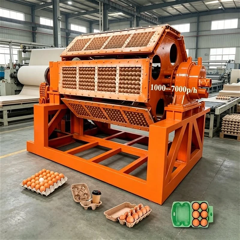 Automatic Egg Tray Machine New Business Startup Waste Paper Recycling Pulp Molding Production Line Customized Configuration