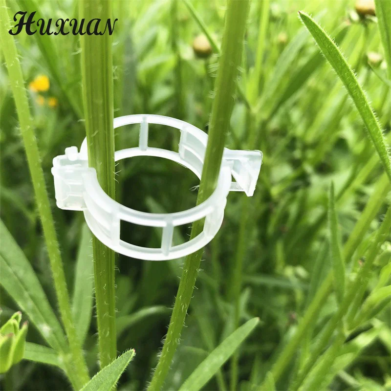 100pcs Plastic Plant Clips For Climbing Plants Clear Plant Fixing Clip Tomato Trellis Clips Plant Support Clips Vine Fixing Clip