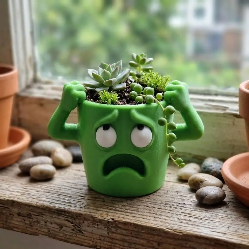 3D Printed Funny Face Succulent Planter Novelty Lifelike Quirky Face Desktop Flower Pot Humorous Face Plastic