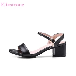 Brand New Summer Fashion bianco nero donna sandali Casual tacchi quadrati Lady Slingback Shoes PS11 Plus Big Small Size 10 31 45 47