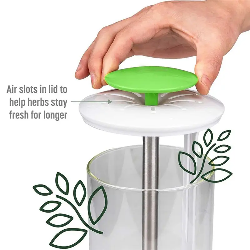 DT39 Herb Preservation Box, Breathable Herb Storage Container for Cilantro Parsley - Fresh Keeper with Ventilation &