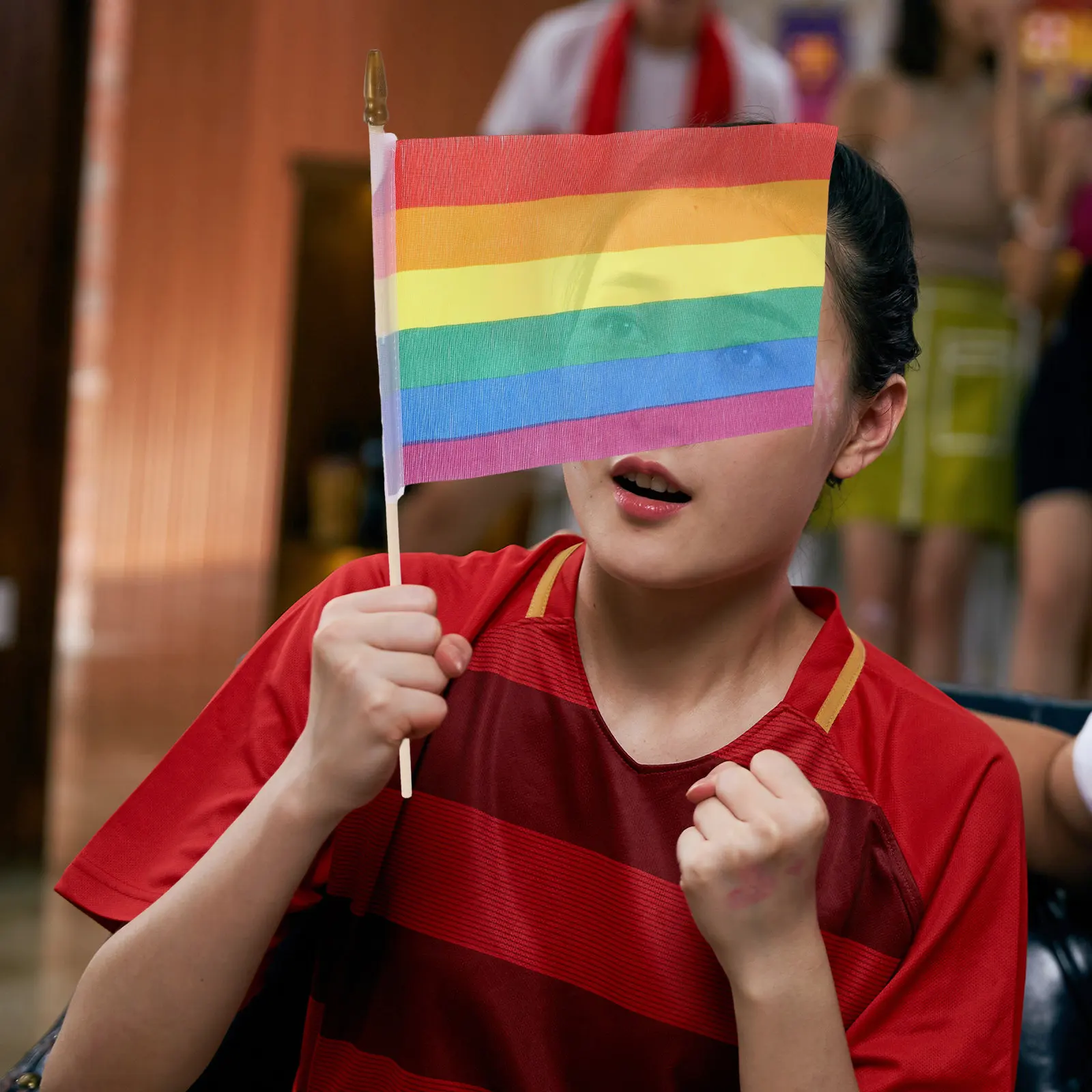 Rainbow Handheld Flags 10 Pack Mini Polyester Flags on Sticks for Parades Parties Festivals Celebrations
