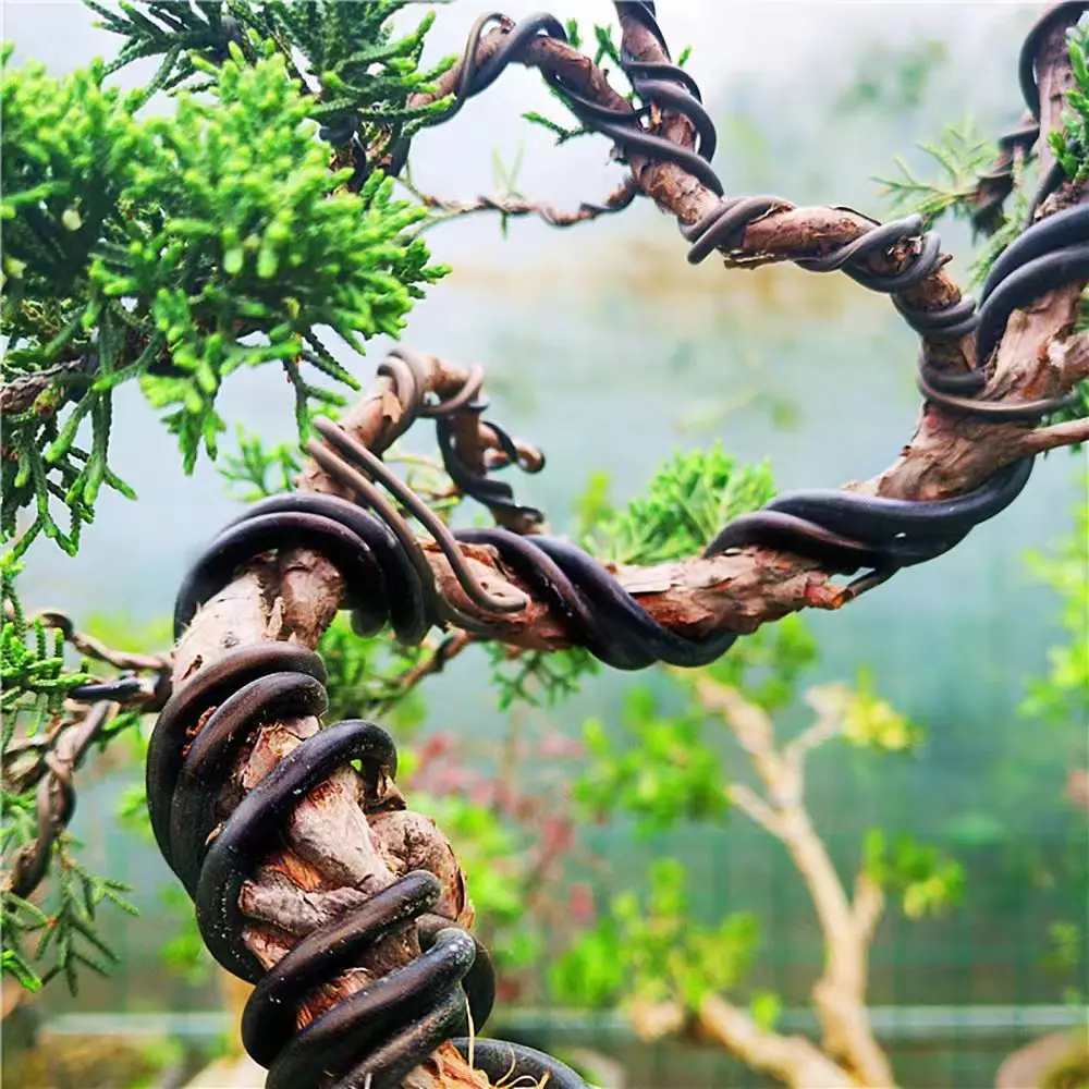 5m Bonsai Wire Plant Support Anodized Aluminum Bonsai Training Wire For Plant Shapes Garden Accessories 1/1.5/2/2.5/3/3.5/4mm