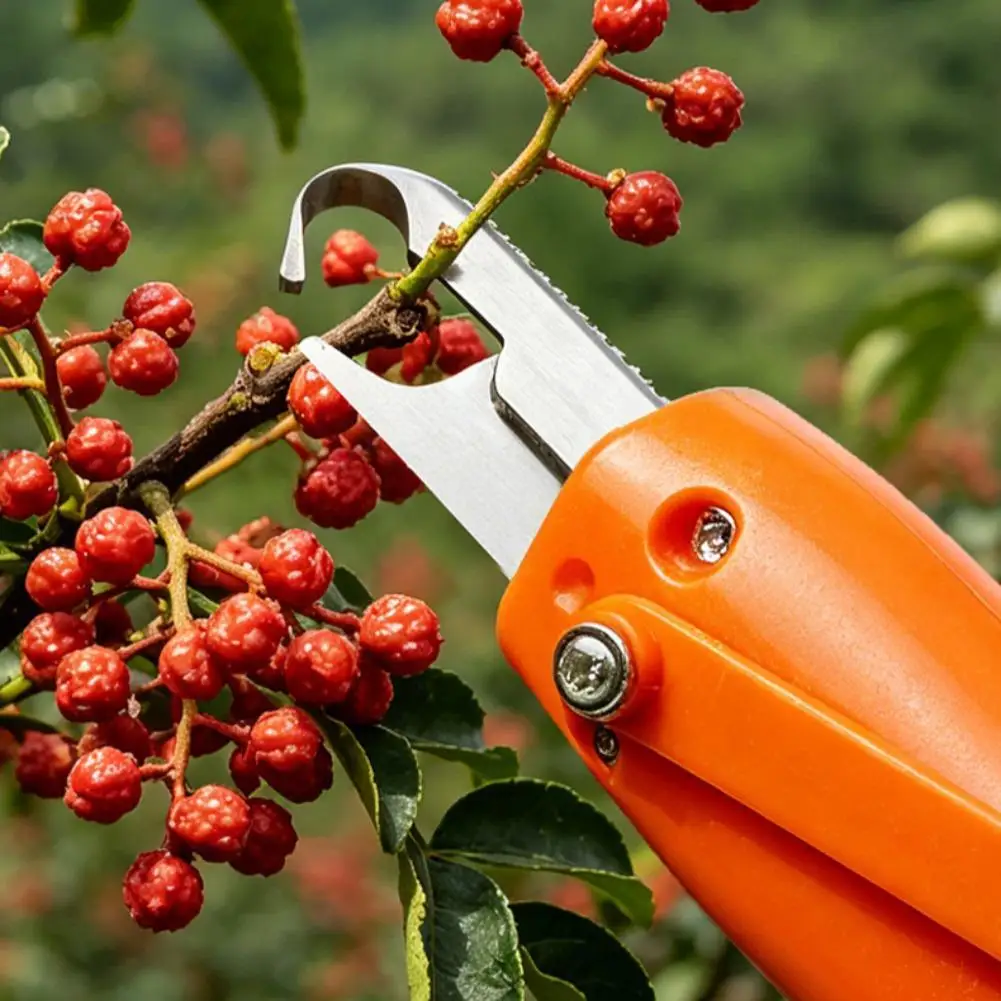 Fruit Picking Tool Special for Prickly Ash Blueberry Cherry Chinese Toon Grape Strawberry Litchi Portable Harvest Cutter ﻿ - view 2