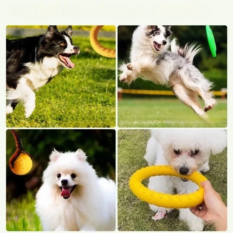 Dog Ring Toys Indestructible C - đánh giá và giá Indestructible Dog Chew Toy