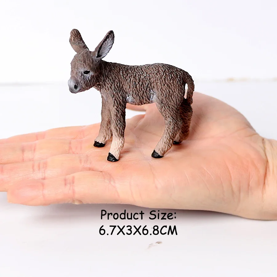 Donkey 8