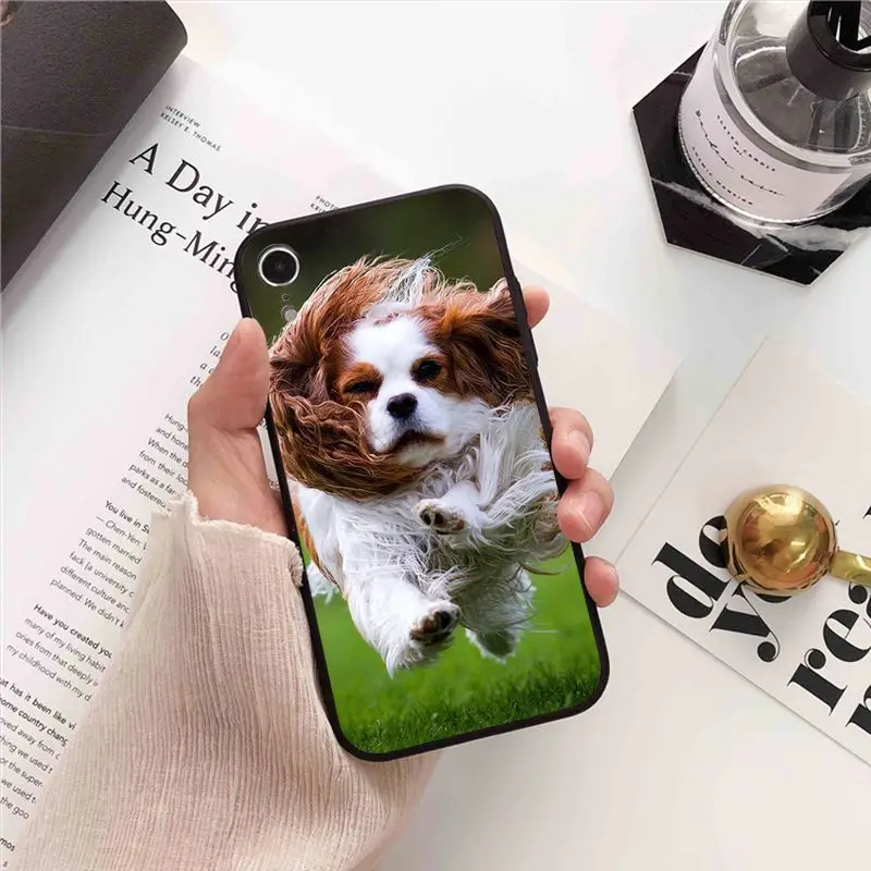 Cavalier King Charles soft phone cover for iPhone 15Pro 16pro 13PRO max 7 8 XR 14plus 11pro 12pro max 13mini SE 2020 cases coque