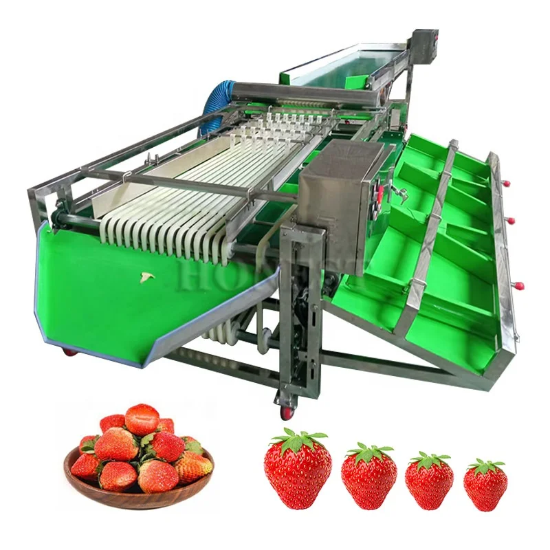 Machine de tri de légumes/oranges à haute efficacité/machine de tri de fruits agrumes