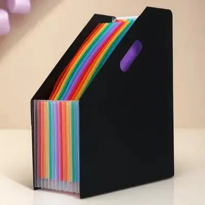 

Expandable Large Capacity Plastic File Folder Standing Accordion Organizer Receipt Bill Document Storage Folder